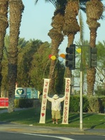Cathedral City Date Palm and Ramon 6-15-17 - Copy.JPG